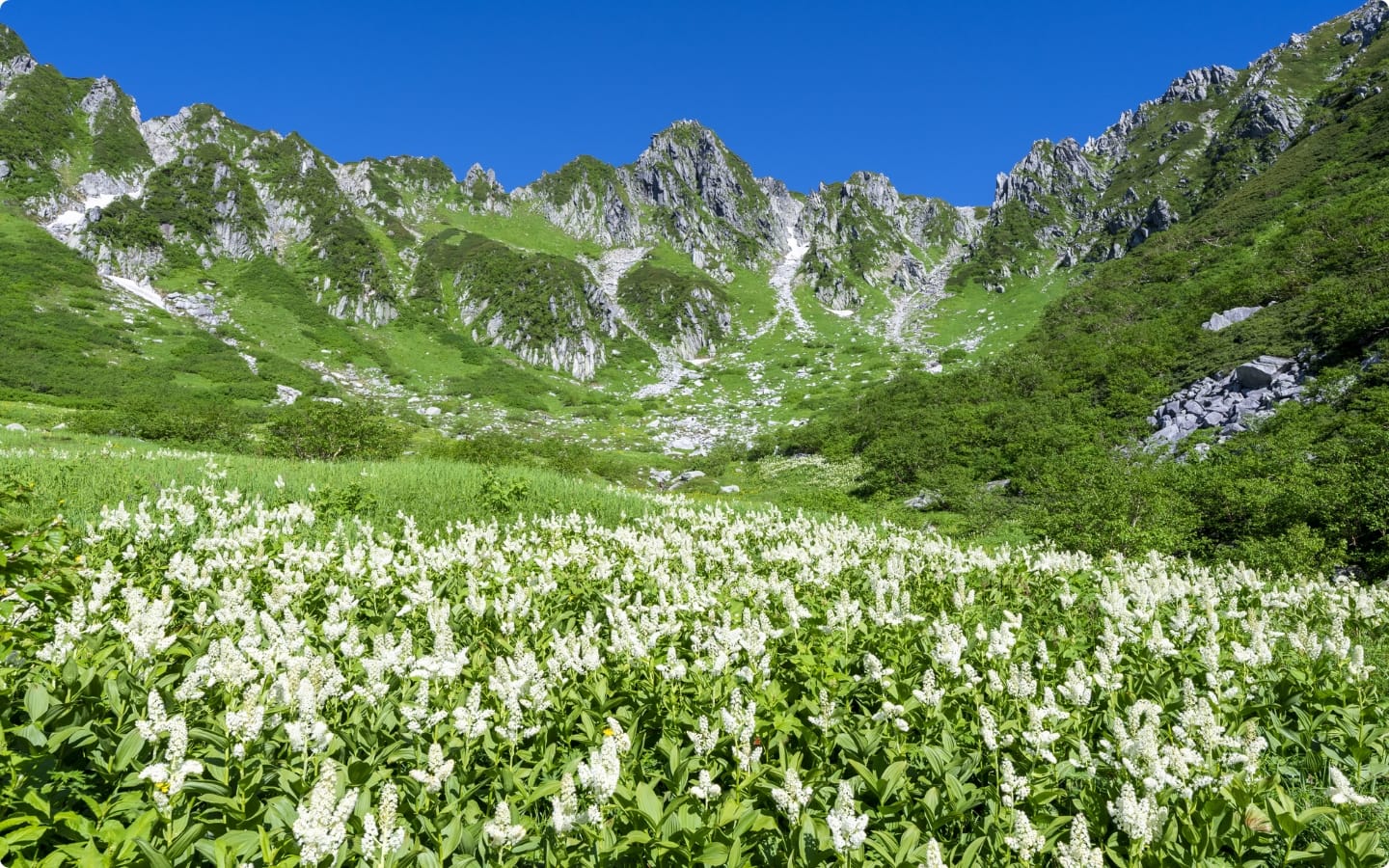 夏の駒ヶ根