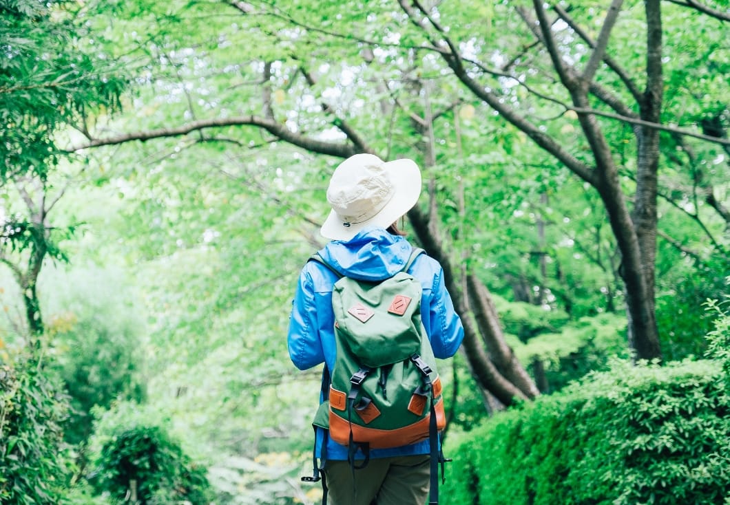 里山・低山トレッキング