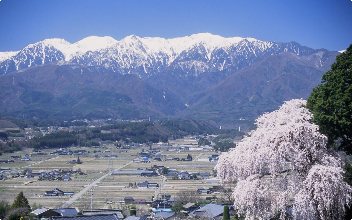 春の駒ヶ根