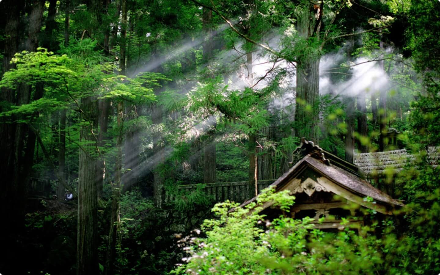 夏の駒ヶ根