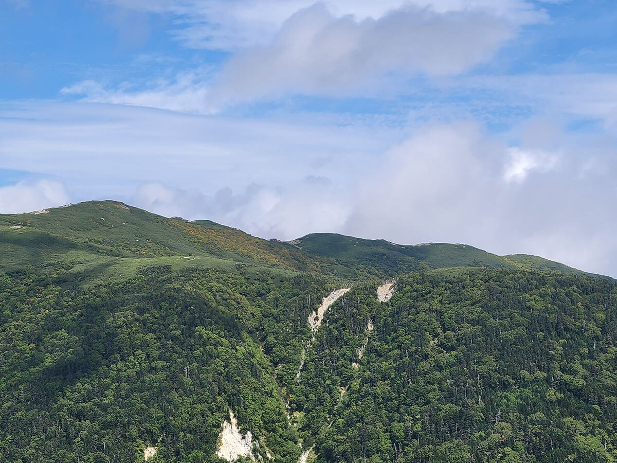 将棊頭山