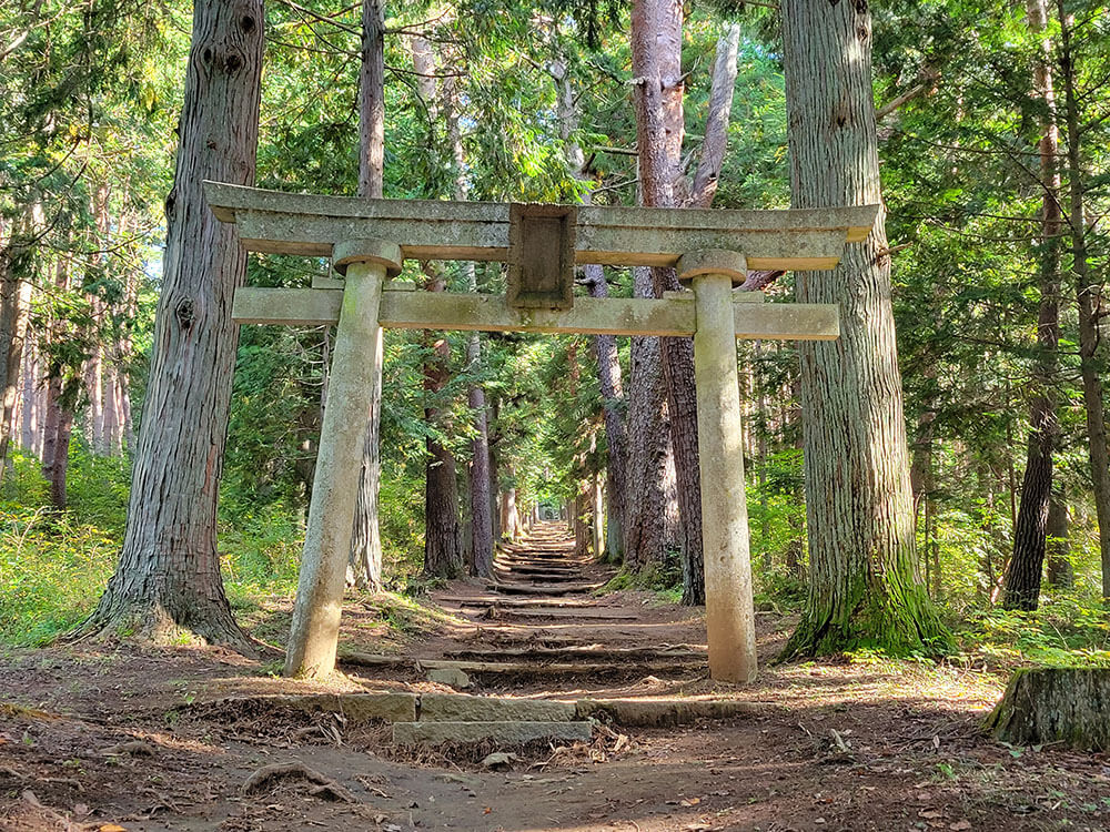 高鳥谷神社社叢